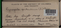 Image Associated With the Occurence